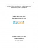 Aspectos fundamentales de la responsabilidad fiscal