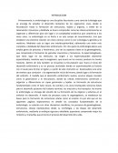 Visión general sobre la embriología, su relevancia en el estudio del desarrollo de organismos