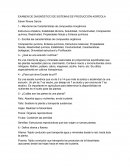 Examen de diagnóstico de sistemas de producción agrícola