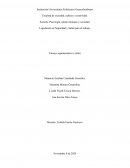 Derecho laboral. Legislación en Seguridad y Salud para el trabajo