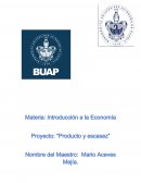 Proyecto: Producto y escasez