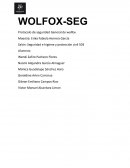 Protocolo de seguridad General de wolfox