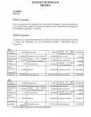 Unidad de riesgos Prueba