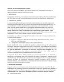Informe de inspeccion ocular tecnica