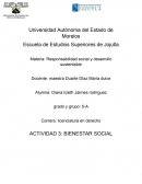 Responsabilidad social y desarrollo sustentable. Bienestar social