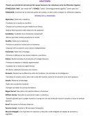 Resumen Anatomía. Clasificación de la anatomía