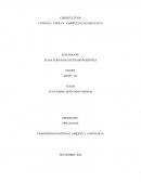 Tarea 4 - Competencias digitales