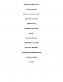 Laboratorio fisica electrica Corazon luminoso