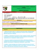 Plan de clases Las emociones