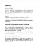 Auditoria NIA 230