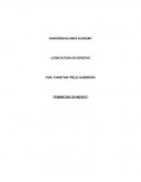 Feminicidio en Mexico. Impacto social del feminicidio