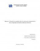 Reporte sobre las Tradiciones Históricas éticas desarrolladas
