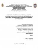 Promocionar las vitaminas en el ámbito de la salud para mejorar el desarrollo nutricional y sistema inmunológico en niñas, niños y adolescentes