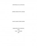 Inportancia de los archivos. Sostenibilidad de los archivos