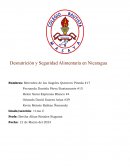 Desnutrición y seguridad alimentaria en Nicaragua
