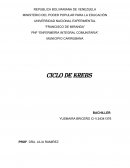 Ciclo de Krebs y su papel fundamental en la respiración celular, la producción de energía (ATP) y la biosíntesis de diversas moléculas
