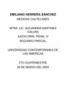 Juicio oral penal IV Medidas cautelares