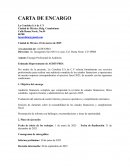 Carta Encargo de Auditoria