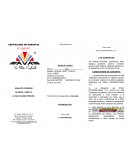 Certificado de garantia