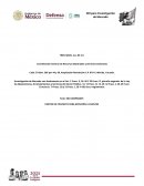 SDI para investigación de mercado Tren Maya, S.A. de C.V.