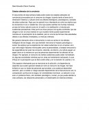 Estados alterados de la conciencia