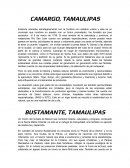 Discurso Municipios - Camargo y Bustamante