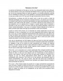 Barbarian at the Gate