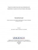 Propuesta de un modelo de innovación como eje dinamizador para la competitividad en el segmento de las PYMEs del calzado en Bucaramanga