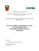 Ensayo sobre la importancia de las enfermedades transfronterizas de los animales