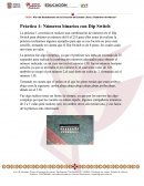 Práctica 1: Números binarios con Dip Switch