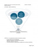 Las organizaciones escolares: dimensiones y procesos