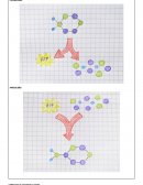 Esquema de procesos metabólicos