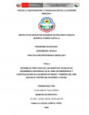 Informe de practicas de los servicios tecnicos de enfermeria asistencial en el area de emergencia y hospitalizacion
