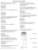 Evaluacion de biologia – Tejidos – Grado Sexto