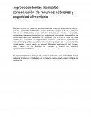 Agroecosistemas tropicales: conservación de recursos naturales y seguridad alimentaria