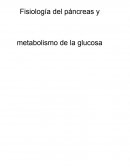 Fisiología del páncreas y metabolismo de la glucosa