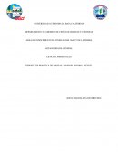 Reporte de practica de mareas, Yavaros, Sonora, Mexico