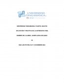 Aplicación y practica de la entrevista final