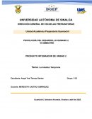 Psicología del desarrollo humano. La adultez temprana