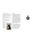 Análisis de la obra ¨Martin fierro¨