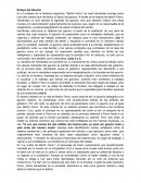 Ensayo del Gaucho. "Martín Fierro" de José Hernández