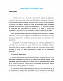 Informe de diagnostico de las diferentes áreas propuestos