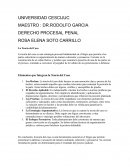 Derecho procesal penal. La Teoría del Caso