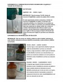 Experimento 04: combinación de nitrato de mercurio II (Hg(no3)2) y yoduro de potasio (KI)