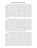 Explorando el espectro autista