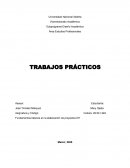 Fundamentos basicos en la elaboracion de proyectos