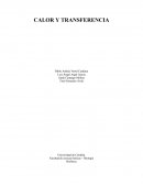 Práctica de laboratorio Calor y transferencia