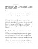 Puente de Wheastone 2