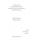 Informe de practica n2 Alineaciòn postural