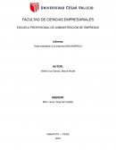 Informe Visita estudiantil a la empresa Induamerica